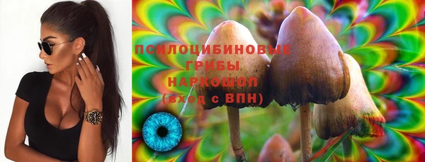 дурь Абинск