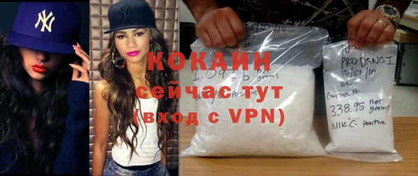 гидра Абаза