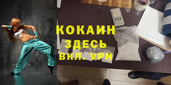 гидра Абаза