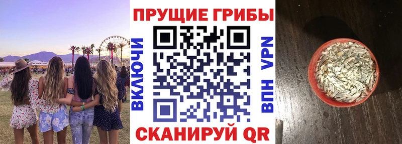 Псилоцибиновые грибы MAGIC MUSHROOMS  Кораблино 